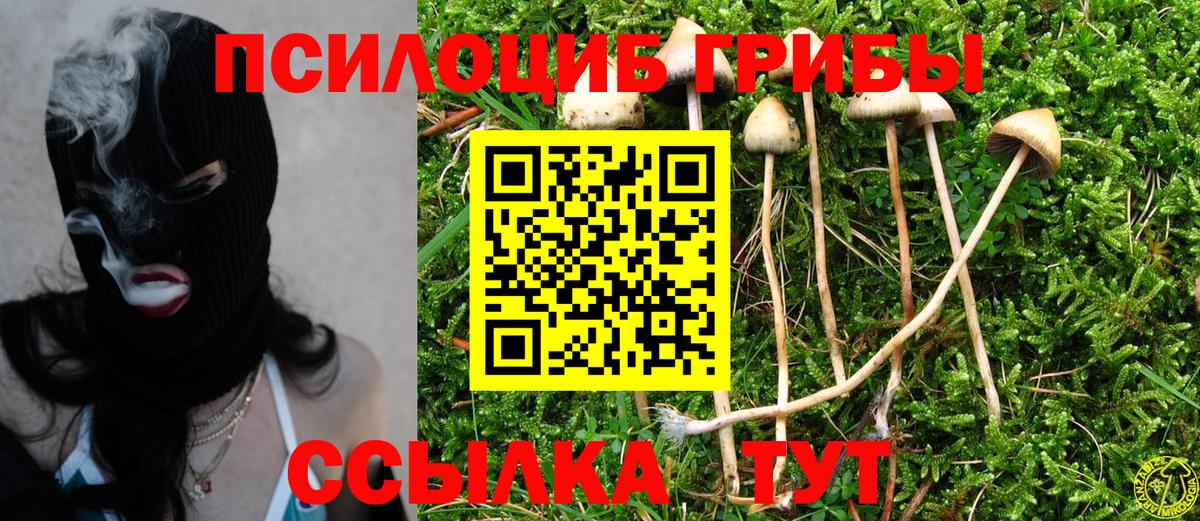 Галлюциногенные грибы MAGIC MUSHROOMS  Псилоцибиновые грибы Cubensis  Вход с VPN  Павловский Посад 